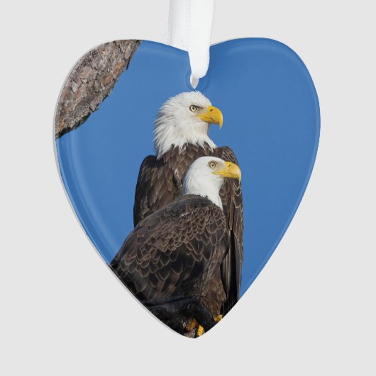 M15 & F23 Logo - Ornement de vacances (devant)