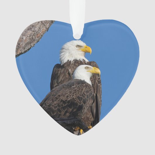 M15 & F23 Logo Vakantie Ornament (voorkant)