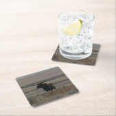 M1 Bull Moose Vierkante Kartonnen Onderzetter (Insitu)