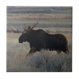 M2 Bull Moose Grote stier Tegeltje