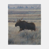 M2 Bull Moose op de Prairies Fleece Deken (Voorkant)