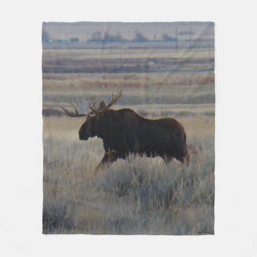 M2 Bull Moose op de Prairies Fleece Deken (Voorkant)