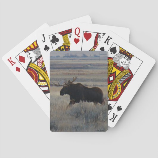 M2 Bull Moose Pokerkaarten (Achterkant)
