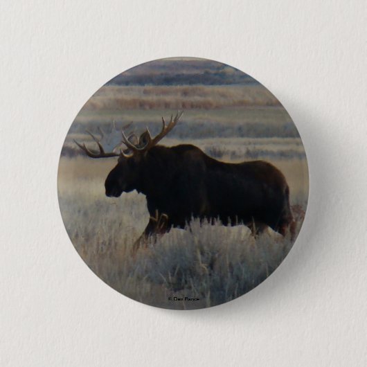 M2 Bull Moose Ronde Button 5,7 Cm (Voorkant)