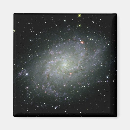 M33 Magnet Galaxy (Devant)