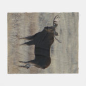 M4 Eland Fleece Deken (Voorkant (Horizontaal))
