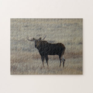 M4 Eland Legpuzzel