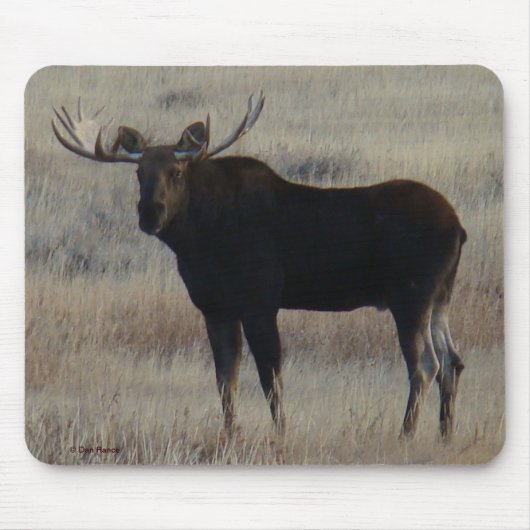 M4 Eland Muismat (Voorkant)
