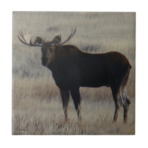 M4 Eland Tegeltje