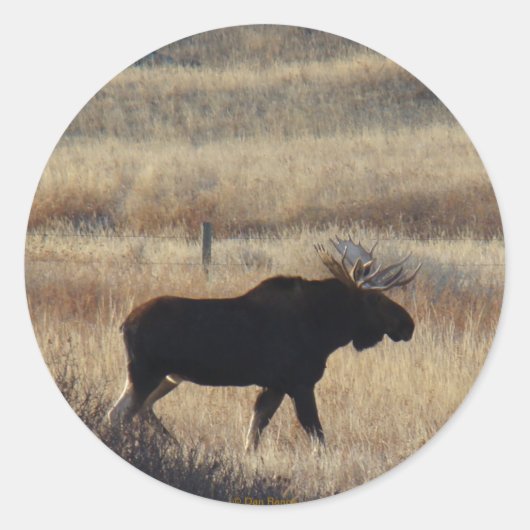 M5 Bull Moose sticker (Voorkant)