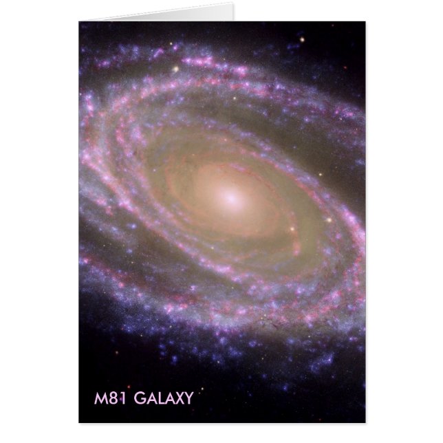 M81 GALAXY (Devant)
