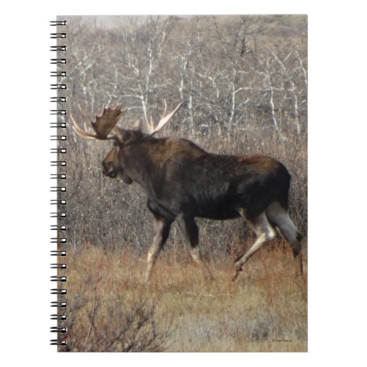 M8 Bull Moose in Scrub Brush Notitieboek (Voorkant)