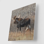 M8 Bull Moose Vierkante Klok (Hoek)