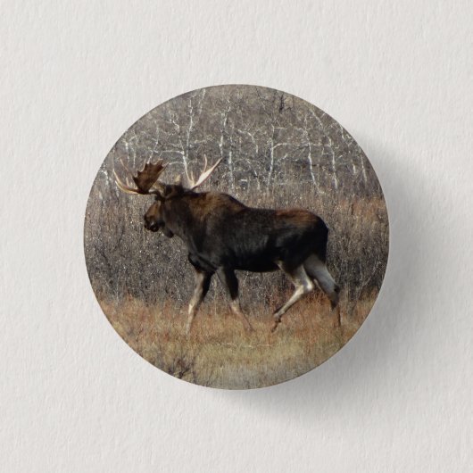 M8 Eland Ronde Button 3,2 Cm (Voorkant)