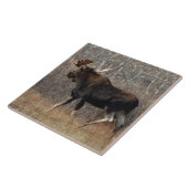 M8 Eland Tegeltje (Zijkant)
