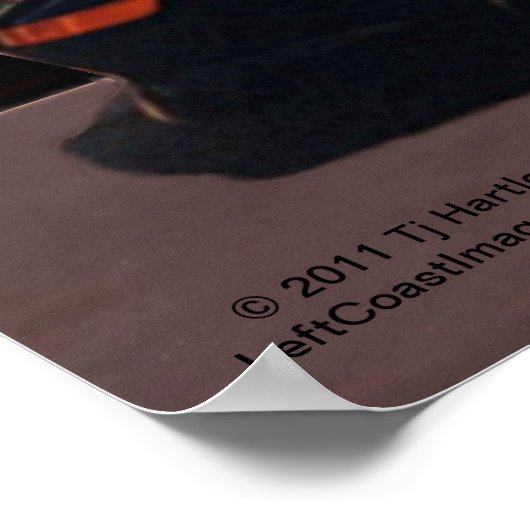 M.2 POSTER 1993 (Coin)