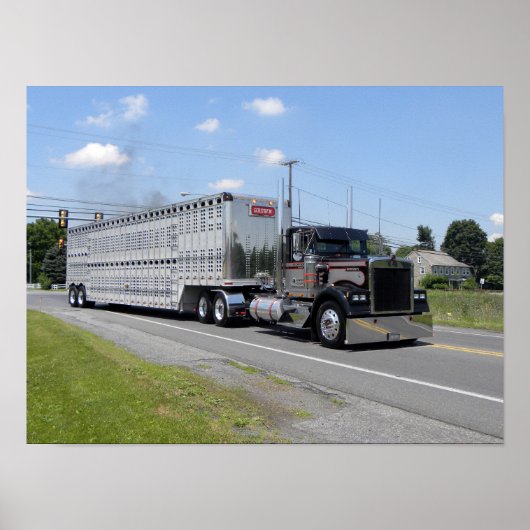 M. Brown Kenworth W900B Poster (Voorkant)