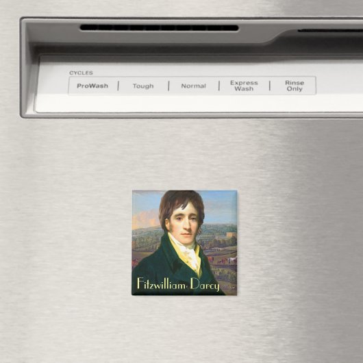 M. Darcy Magnet (In Situ (Lave-vaisselle))