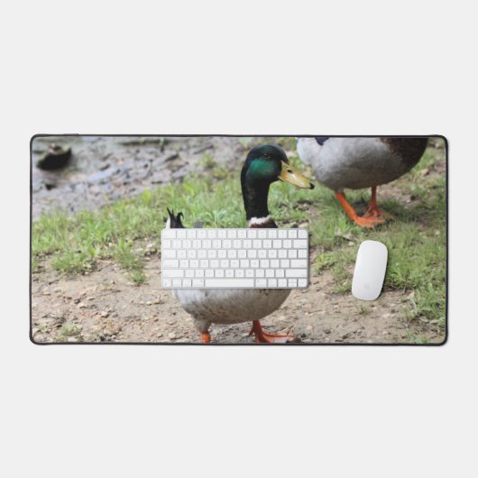M. Duck (Clavier et souris)