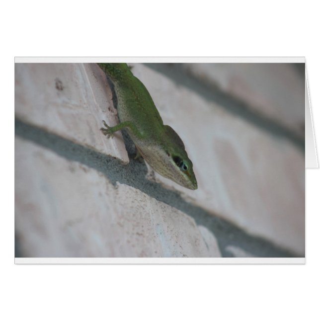 M. Green Lizard (Devant horizontal)