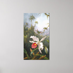 M. J. HEADE Twee kolibries boven een witte orchide Canvas Afdruk