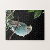 M. Jill Budgie Puzzle (Horizontal)
