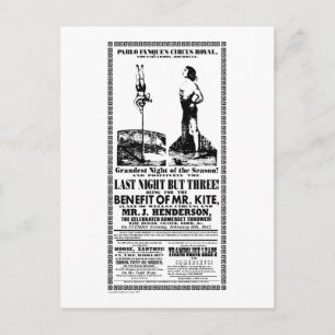 M. Kite - Carte postale