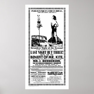 M. Kite - Poster
