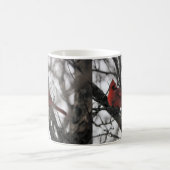 M. Mug (Centre)