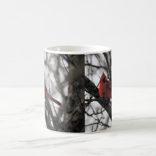 M. Mug (Centre)
