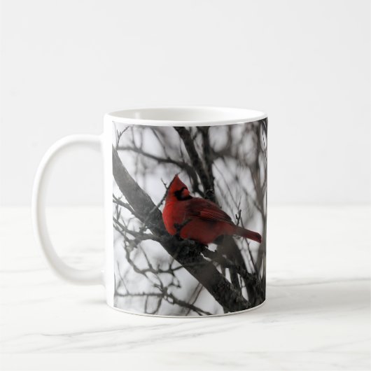 M. Mug (Gauche)