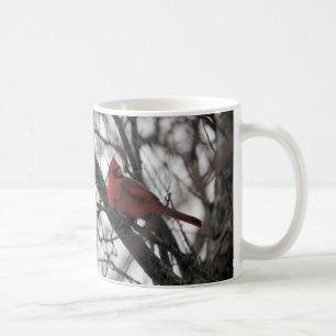 M. Mug