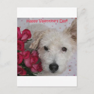 M. Pish et de carte de Saint-Valentin douzaine