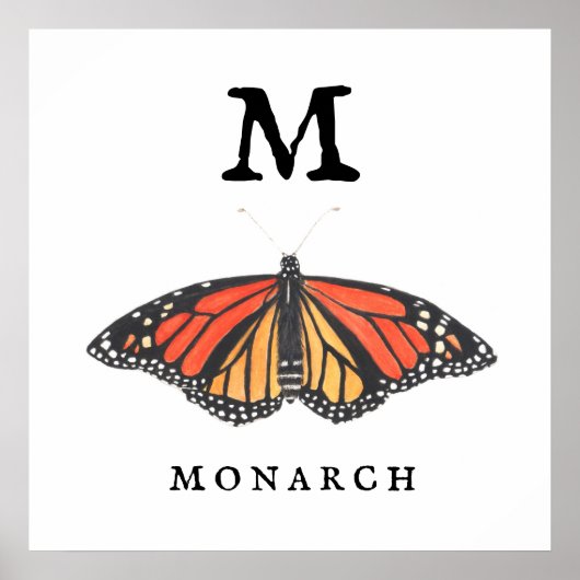 "M" pour Monarch Print, Value Poster Paper (Matte) (Devant)