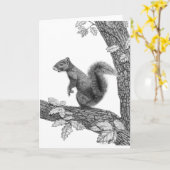 M. Squirrel - de Lege Kaart van de Nota (Gele Bloem)