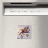 M SWFL Eagle Cam Magnets 2021 (In Situ (Lave-vaisselle))