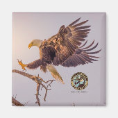 M SWFL Eagle Cam Magnets 2021 Magneet (Voorkant)