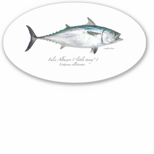 M Vinyl False Sticker ovale Albacore (Devant)