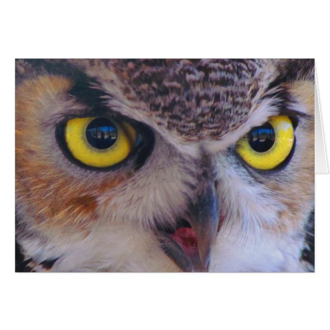 M. Wilson Card (Devant Horizontal)