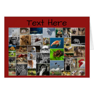 Ma Carte de voeux Animal Kingdom, pour n'importe q