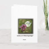 Ma carte de voeux de Pomeranian de fille (Dos)