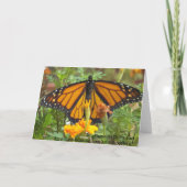 Ma carte de voeux Papillon Monarque (Dos)