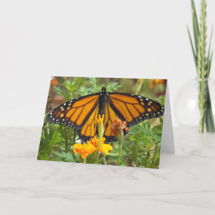 Ma carte de voeux Papillon Monarque