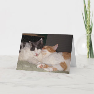 Ma carte de voeux pour chats mignons amis me manqu
