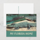 Ma carte postale Gator de Floride (Devant / Derrière)