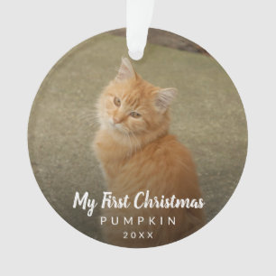 Ma première Chalk Script de Noël Photo Chat