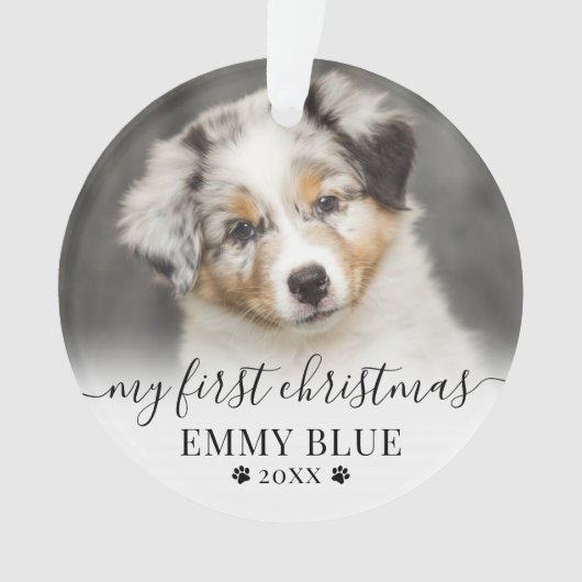 Ma première photo de Noël de mon animal de compagn (devant)