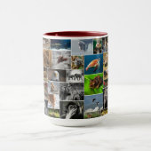 Ma tasse de café Animal Kingdom (Centre)