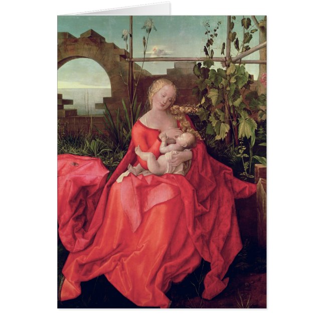 Maagd en kind 'Madonna met de Iris', 1508 (Voorkant)