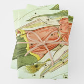 Maagd Maagd  Constellatie Urania's Mirror Inpakpapier Vel (In situ)